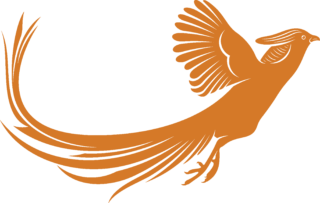 https://patrickpheasant.com.au/wp-content/uploads/2023/06/patrick-pheasant-logo-320x203.png